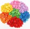 1000 Pcs Assorted Buttons for Crafts, Resin Buttons for Sewing